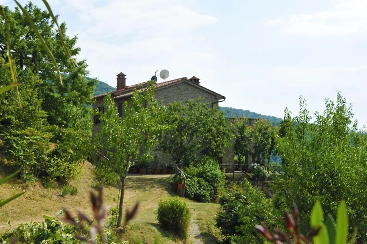 Casetta I Ciliegi Cortona